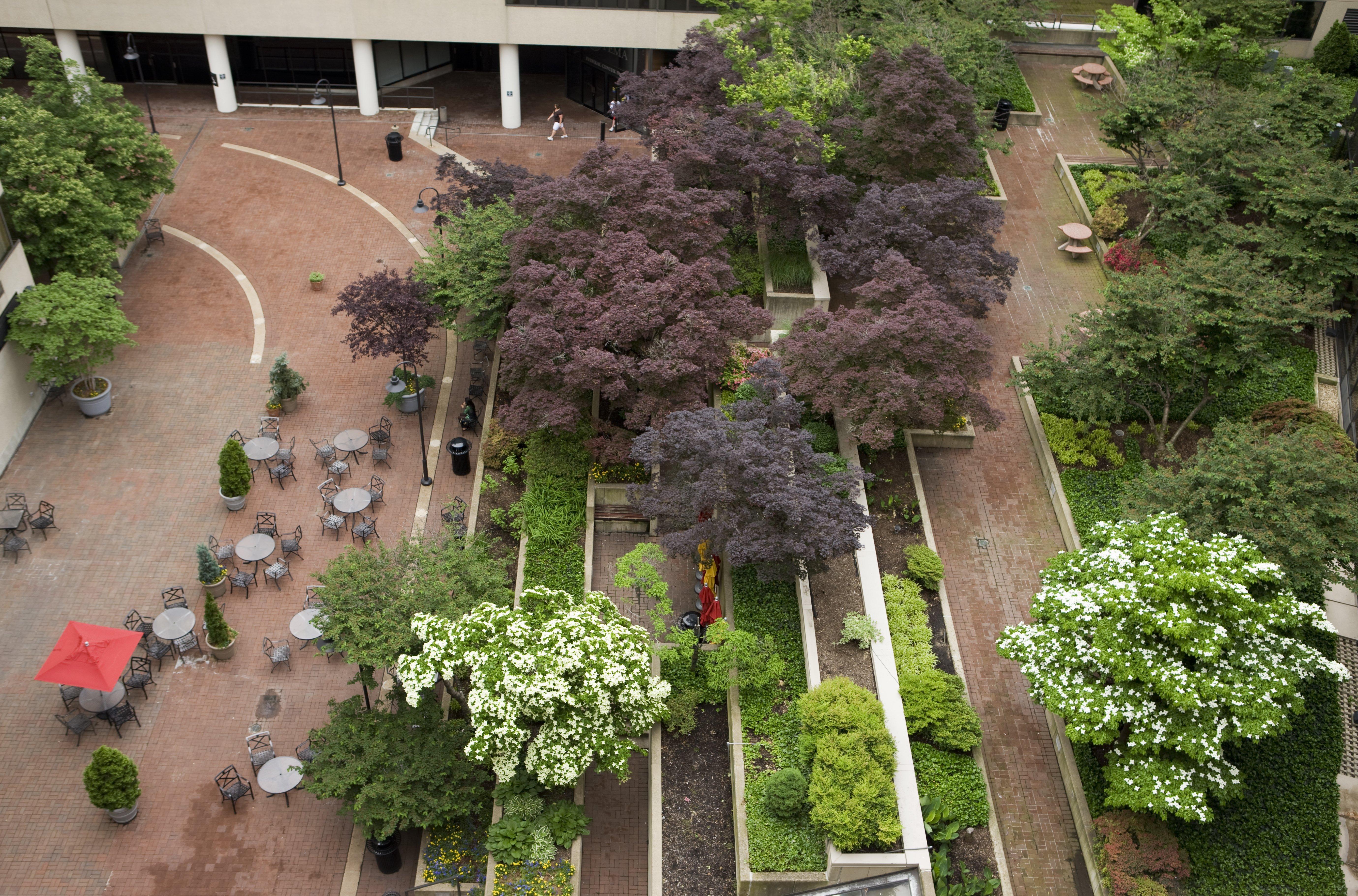 Holiday Inn Washington Capitol-National Mall By Ihg Bagian luar foto
